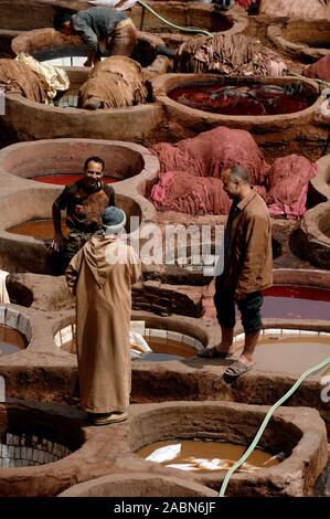 Trois travailleurs du cuir marocain parler parmi les mourants de la Tannerie Chouara des fosses ou des tanneries dans le quartier d'affaires à Fès Fès ou Fez Maroc Banque D'Images