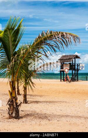 La plage de Kololi en Gambie. Banque D'Images