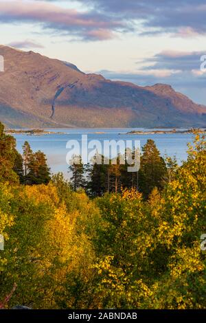 Paysage d'automne dans le parc national de Stora sjöfallets, vue sur Stora, Lulevatten Laponia, en Laponie suédoise, Suède Banque D'Images