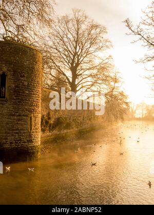 Au début de l'hiver un matin de brume de compensation l'Évêché moat dans Wells, Somerset, England, UK Banque D'Images