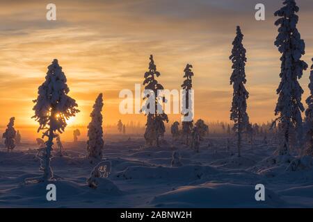 Landschaft im Gegenlicht, Schwedisch-Lappland, Skandinavien Banque D'Images