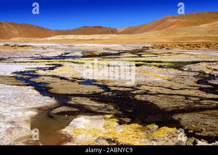 Chili - Atacamawueste - Heisse Quellen Banque D'Images