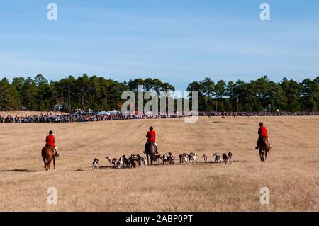 SOUTHERN PINES, North Carolina, USA. 28 Nov, 2019. LINCONLN Huntsman SADLER, conduit le chien et le cavalier procession vers la foule avant la 105e assemblée annuelle de la bénédiction des chiens, au champ Buchan. Organisé par le club de chasse de chiens courants du comté de Moore, l'événement est une tradition de Thanksgiving dans Moore Comté. Les cavaliers en tenue de chasse traditionnelles pour l'un des plus anciens chasse dans la nation. Le Penn-MaryDel hounds sont un pack qui remonte à 1914. Image Crédit : © Timothy L. Hale via Zuma sur le fil) (crédit de droit Banque D'Images