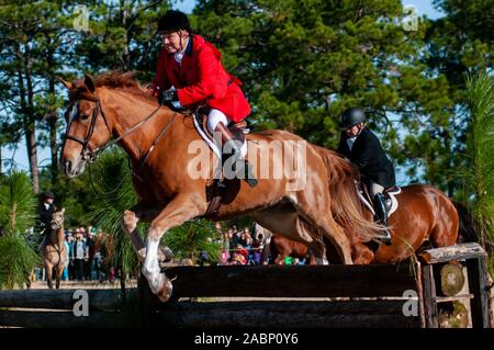 Southern Pines, North Carolina, USA. 27 Nov, 2019. 28 novembre 2019 - Southern PINES, North Carolina, USA - Les cavaliers et leurs chevaux sauter une clôture au cours de la 105e assemblée annuelle de la bénédiction des chiens, au champ Buchan. Organisé par le club de chasse de chiens courants du comté de Moore, l'événement est une tradition de Thanksgiving dans Moore Comté. Les cavaliers en tenue de chasse traditionnelles pour l'un des plus anciens chasse dans la nation. Le Penn-MaryDel hounds sont un pack qui remonte à 1914. Image Crédit : © Timothy L. Hale via Zuma sur le fil) Credit : Timothy L. Hale/ZUMA/Alamy Fil Live News Banque D'Images