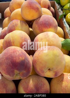 Fort de pêches mûres empilés dans une boîte en carton à un marché de producteurs à Tirana, Albanie. Banque D'Images