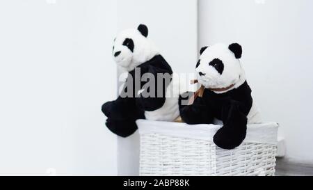 Deux peluches panda dans un panier en osier blanc dans la chambre blanche Banque D'Images