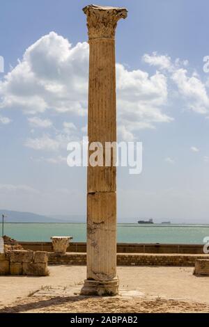 Colonne de Carthage. L'histoire était que Carthage a été capitale de l'ancienne civilisation carthaginoise. Plus tard il a été détruit par la République Romaine Banque D'Images