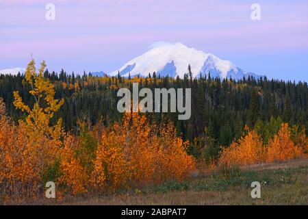 Mont Wrangell, tambour NP, Alaska Banque D'Images