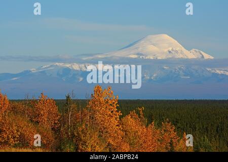 Mont Wrangell, tambour NP, Alaska Banque D'Images