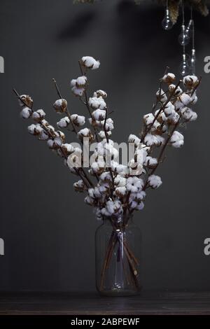Branches de coton naturel dans un vase en verre sur un fond sombre, Noël ou Nouvel An concept Banque D'Images