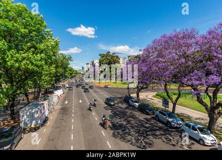 Buenos Aires, Argentine - 18 novembre 2018 : Recoleta et jacarandas Banque D'Images