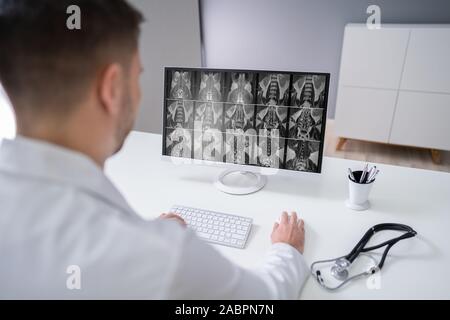 Mâle mature Doctor Examining X-ray rachis en clinique Banque D'Images