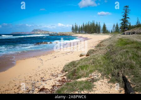 Baie de cimetière bech avec Phillip Island dans la distance. L'île Norfolk, sud-ouest pacifique, l'Australie Banque D'Images