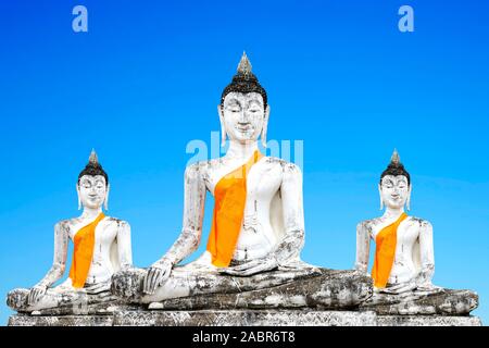 Der Wat Maha Bouddha qu'à Ayutthaya, Thaïlande, composer, Banque D'Images