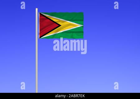 Flagge von Guyana Banque D'Images