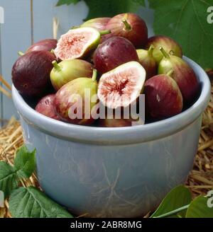 BOL DE FIGUES COMMUNES FRAÎCHEMENT RÉCOLTÉES (FICUS CARICA) AVEC UNE TRANCHE OUVERTE SUR LE DESSUS. Banque D'Images