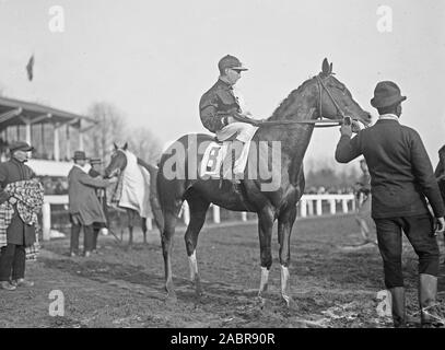 Jockey sur son cheval de ca. 1922 Banque D'Images