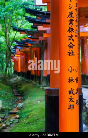 Kyoto, Japon - 10 octobre 2019 : vue sur un chemin de Torii gates, dans la forêt, jusqu'à la montagne d'Inari, à Kyoto, Japon Banque D'Images