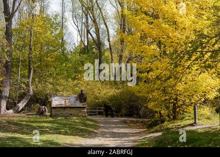 Une vieille cabane de travailleurs chinois historique de la ruée vers l'or jours à Arrowtown Nouvelle-zélande Banque D'Images