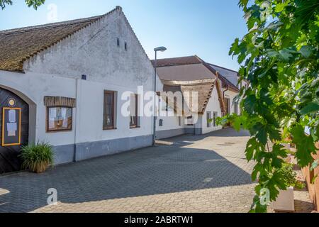 Un paysage idyllique avec des maisons traditionnelles à Apetlon, une ville dans une zone nommée Burgenland en Autriche Banque D'Images