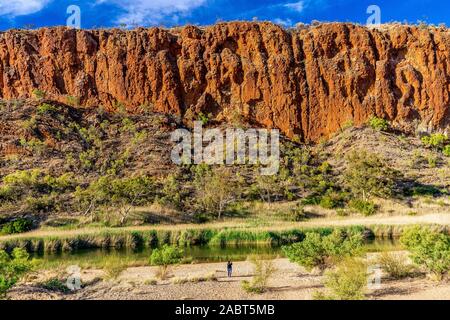 Un touriste photographie la paroi massive à Glen Helen Gorge, dans les MacDonnell Ranges, Territoire du Nord, Australie. Banque D'Images