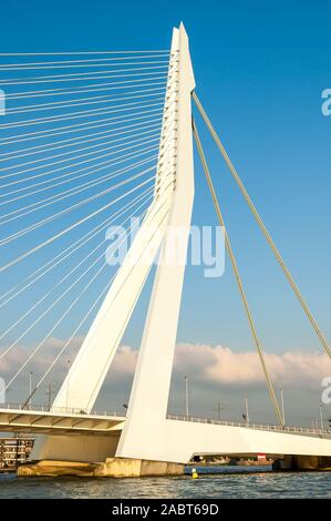Détail de l'asymétrie de pylône du pont Erasmus 'Le Cygne' dans la ville de Rotterdam, Pays-Bas Banque D'Images
