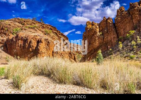 Glen Helen Gorge est une partie de la West MacDonnell Ranges dans une partie reculée du territoire du Nord en Australie centrale. Banque D'Images