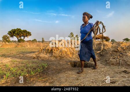 Client de la microfinance dans l'agriculture du marché, province des Savanes au nord du Togo. Banque D'Images