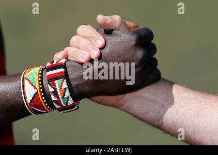 Llack et agiter la main blanche. Le Masai Mara National Park. Au Kenya. Banque D'Images