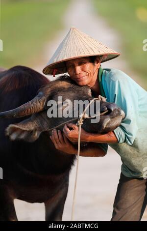 Farmer portant un chapeau conique traditionnel de la feuille de palmier avec ses buffles. Portrait. Hoi An. Le Vietnam. Banque D'Images