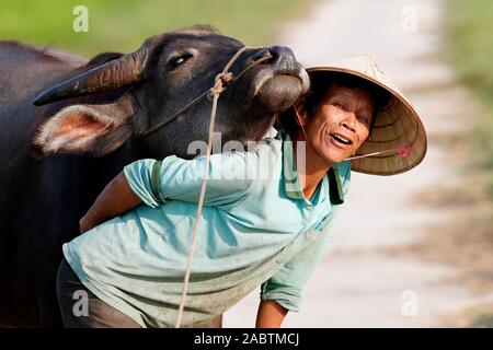 Farmer portant un chapeau conique traditionnel de la feuille de palmier avec ses buffles. Portrait. Hoi An. Le Vietnam. Banque D'Images