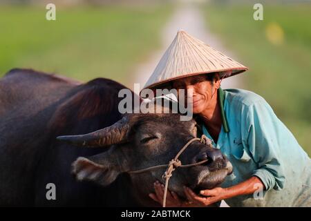 Farmer portant un chapeau conique traditionnel de la feuille de palmier avec ses buffles. Portrait. Hoi An. Le Vietnam. Banque D'Images