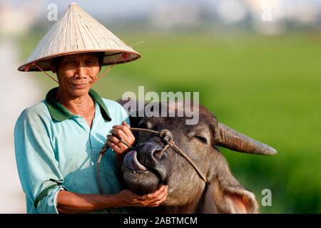 Farmer portant un chapeau conique traditionnel de la feuille de palmier avec ses buffles. Portrait. Hoi An. Le Vietnam. Banque D'Images