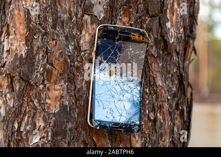 Le téléphone cassé avec des fissures cloué au tronc d'un grand arbre. Banque D'Images