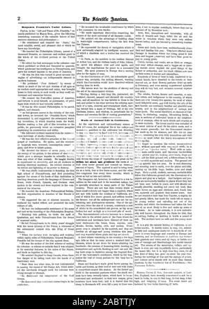 Benjamin Franklin l'Vseful du labeur. Nâdiya de la vie animale en Californie., Scientific American, 64-07-02 Banque D'Images