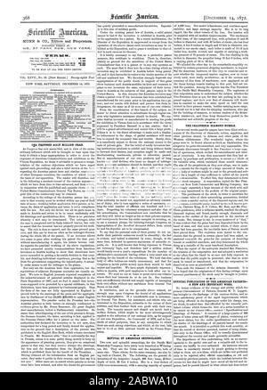 MUNN & CIE éditeurs et propriétaires. No' 37 PARK ROW. NEW YORK : N550 1 RELANCE DE LA CONSTRUCTION NAVALE AMÉRICAINE. La Californie bulle de diamants. PUBLICATION OFFICIELLE DE L'AMERICAN BREVETS- UN NOUVEAU ET IMPORTANT TRAVAIL., Scientific American, 1872-12-14 Banque D'Images