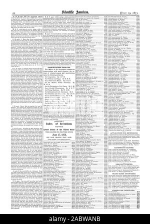 Barème des taxes de brevets : 30 $ 820 850 850 815 830, Scientific American, 1873-07-19 Banque D'Images