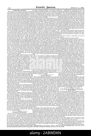 Fédération de la métallurgie. Voiture breveté des améliorations. American explosés. Recettes utiles pour la boutique la maison et la ferme., Scientific American, 1875-08-21 Banque D'Images