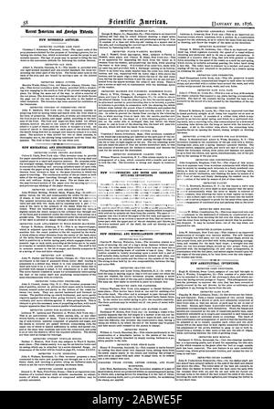 Timide 58 Xattitto américains et étrangers. Nouveaux articles ménagers. De nouvelles inventions et de l'ingénierie mécanique. Nouvelle maison DU BOIS ET DU BÂTIMENT ET DU CHARIOT D'INVENTIONS. Nouveaux produits chimiques et autres inventions. De nouvelles inventions agricoles., Scientific American, 1876-01-11 Banque D'Images