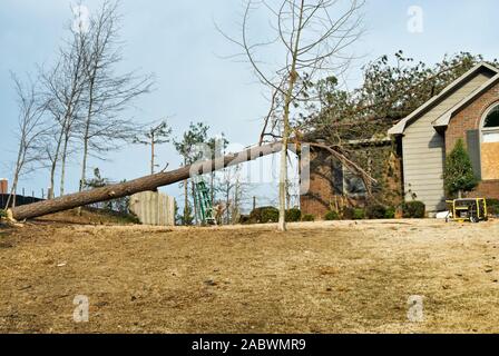 Tornado maison endommagée avec un pin tombé sur son toit à la suite d'une catastrophe naturelle au printemps. Banque D'Images