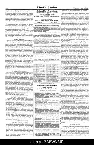 La Rose de Jéricho. Le moteur à vapeur Gouverneur. Un bon lit de sable chaud gars. Progrès télégraphique en Chine. Semaine se terminant le 15 janvier 1881. Le rythme d'AVANCEMENT DU SYSTÈME DE BROSSE DE L'ÉCLAIRAGE ÉLECTRIQUE. Sur le SIDA à l'audience., Scientific American, 1881-01-15 Banque D'Images