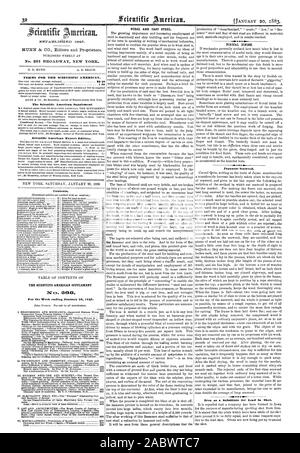 MUNN & CIE éditeurs et propriétaires. Publié chaque semaine au n°261 BROADWAY NEW YORK. 0. D. MUNN. A. E. BEACH. Conditions POUR LE SCIENTIFIC AMERICAN. Le Scientific American Supplement contenu. Le SCIENTIFIC AMERICAN SUPPLEMENT Pour la semaine se terminant le 20 janvier 180. Acier ET FONTE ACIER. FINICAL TERMINER. Algues japonaises. Fer à repasser comme un substitut de plomb dans Shot., 1883-01-20 Banque D'Images