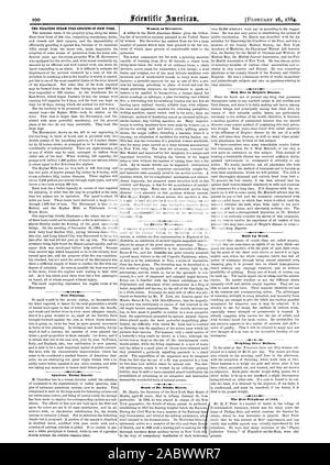 La vapeur FLOTTANTE DE POMPIERS DE NEW YORK. La plantation d'arbres. Je fausse le tartre émétique. Les femmes en tant qu'inventeurs. Un microscope électrique. Décès de M. Élisée Harris. Construit en bois. Des Dollars en argent pesant. Le Reis Téléphone de 1864., Scientific American, 1884-02-16 Banque D'Images