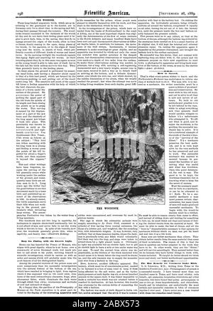 MM. La bécasse. La pêche en haute mer avec la lumière électrique. Comment réussir. avec ces deux recours suite fatalement. La bécasse., Scientific American, 1889-09-28 Banque D'Images