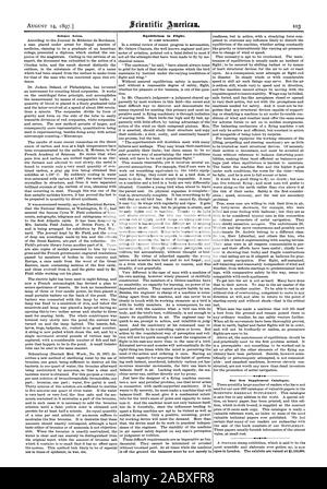 L'équilibre en vol. Par JAMES RICHARDSON. Notre nouveau catalogue de supplément. La science des notes., Scientific American, 1897-08-14 Banque D'Images