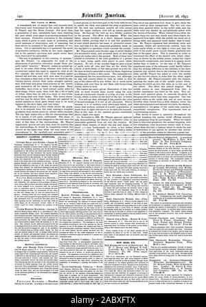 Les couleurs d'oiseaux. Récemment les inventions brevetées. Mécanique. Appareils de fer. Installation électrique. HANGERTheodore TROLLEY Etc des vélos. Divers. Nouveaux livres etc., Scientific American, 1897-08-11 Banque D'Images