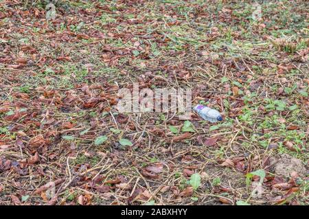 Les boissons gazeuses en plastique vide bouteille / patch de déchets sur les feuilles d'automne. Métaphore le recyclage, la pollution, les déchets de bouteilles en plastique, bouteilles vides Banque D'Images