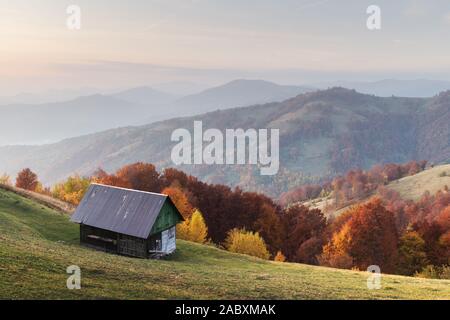 Automne pittoresque prairie avec maisons en bois hêtre rouge et arbres dans les Carpates, l'Ukraine. Photographie de paysage Banque D'Images