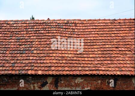 Toit, bâtiment, couvrant, l'isolement, l'atmosphère, réparation, construction, pavillon, couvrant, l'isolement, l'atmosphère, réparation, remplacement, tuile, tuiles, Banque D'Images