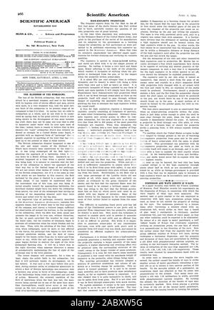 SCIENTIFIC AMERICAN n° 361 Broadway New York NEW YORK SAMEDI 2 AVRIL 1904. L'Aveuglement DU SOUS-MARIN. Des projectiles explosifs. La dispersion et la longueur d'onde des rayons n., 1904-04-02 Banque D'Images